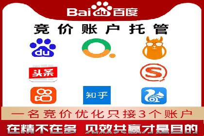 行业专家眼中的sem账户托管成功要素